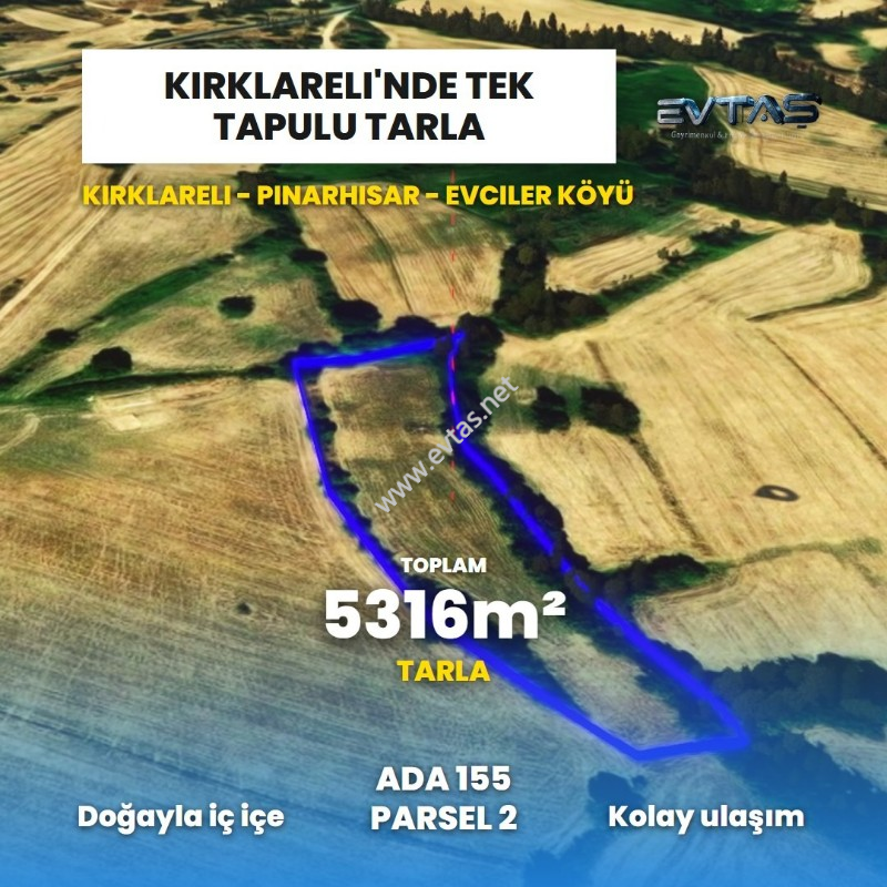 PINARHİSAR EVCİLER K&Ouml;Y&Uuml;NDE 5.300 M2 M&Uuml;STAKİL TAPU